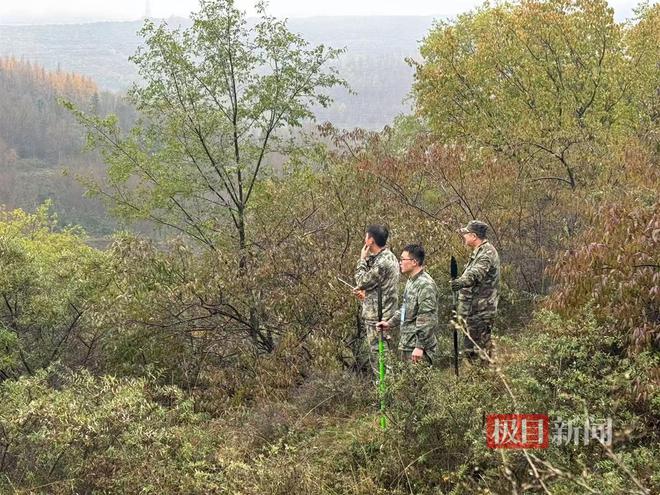 娛樂城：對話甯夏西吉“賞金獵人”：抓一頭野豬可獲2400元，但很危險還要倒貼錢